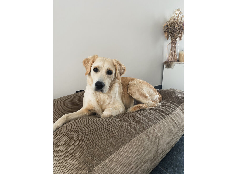 Lit pour chien foie double velours côtelé medium