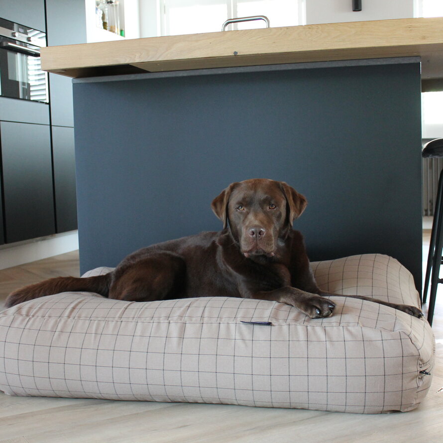 Lits pour chien polyester / coton