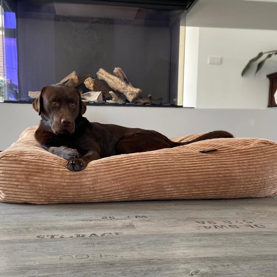 Lits pour chiens giant velours côtelé