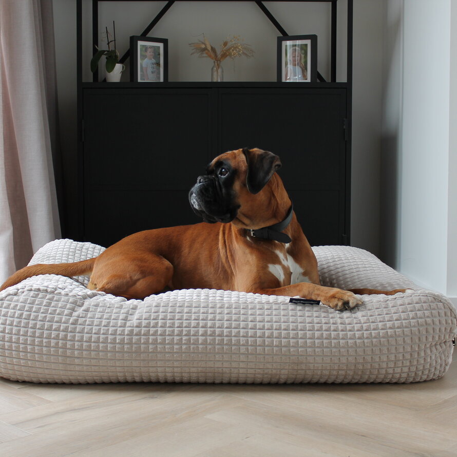 Lit pour chiens velours