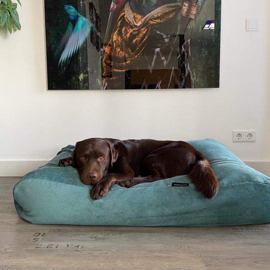 Lit pour chiens velours côtelé