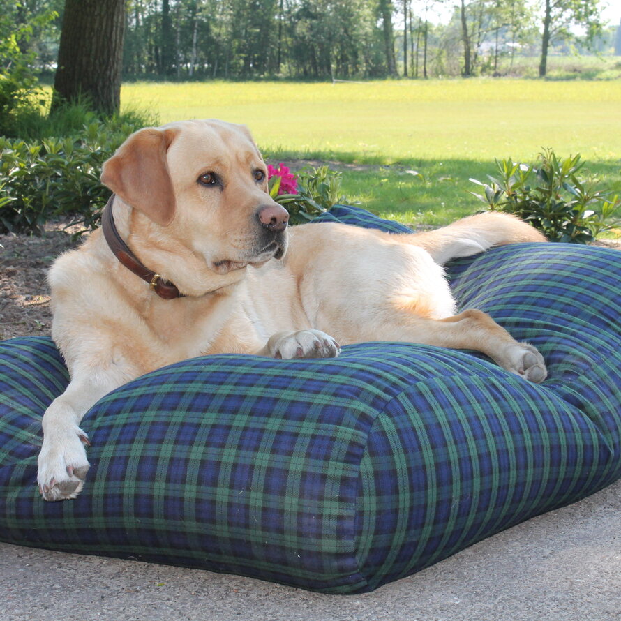 Lits pour chien textile tissé (carreaux / rayé)