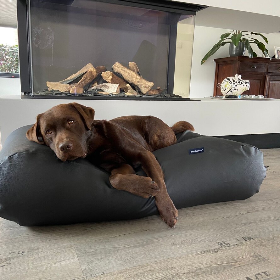 Lits pour chien look en cuir (leatherlook)