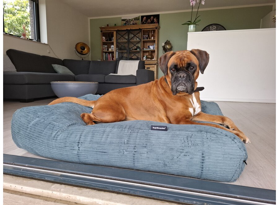 Lit pour chien vieux vert double velours côtelé
