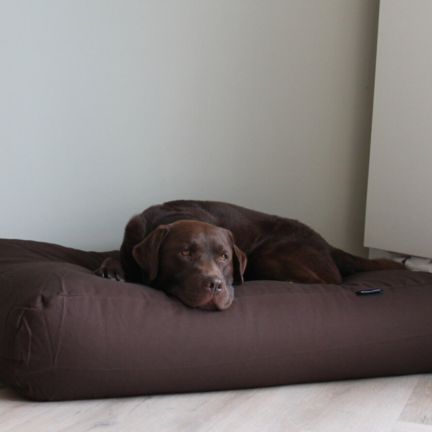 Lits pour chiens Medium