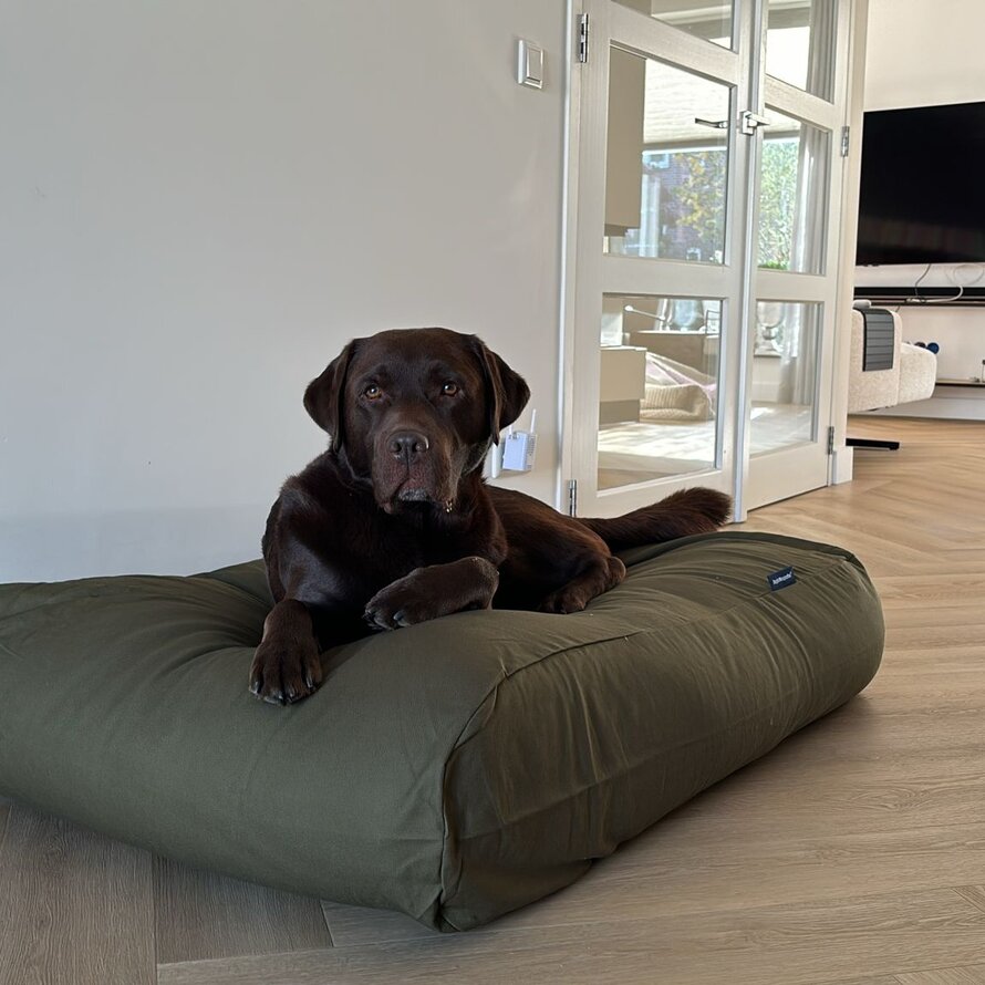 Lits pour chien canvas / coton