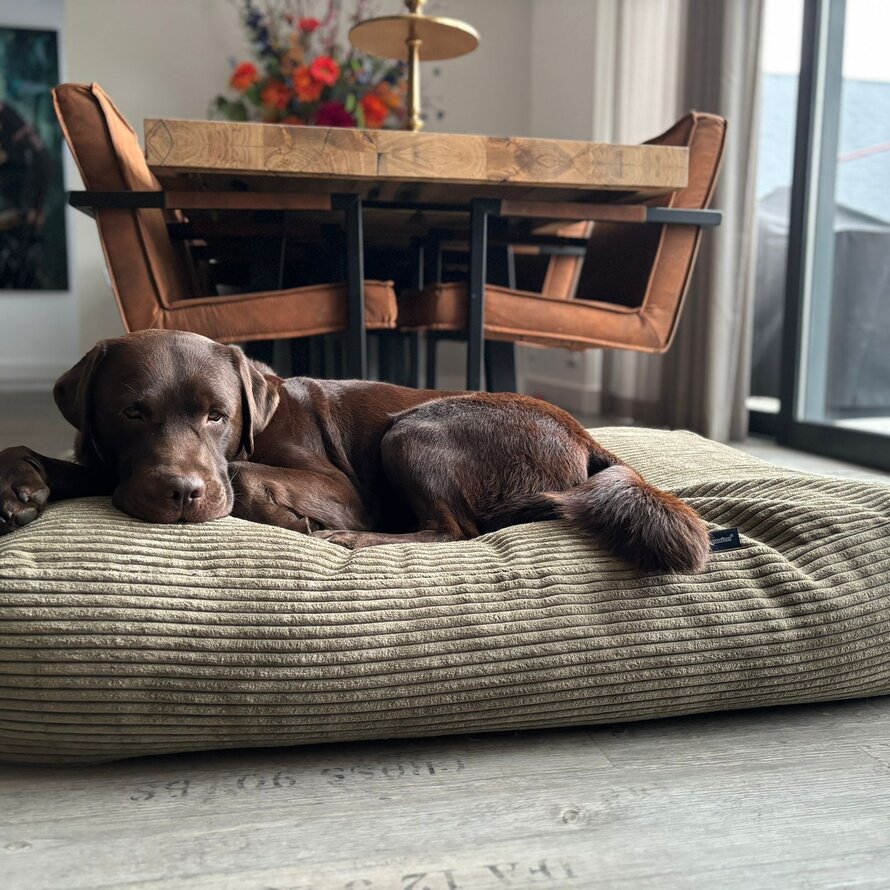 Lit pour chien polyester