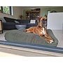 Lit pour chien hunting double velours côtelé superlarge