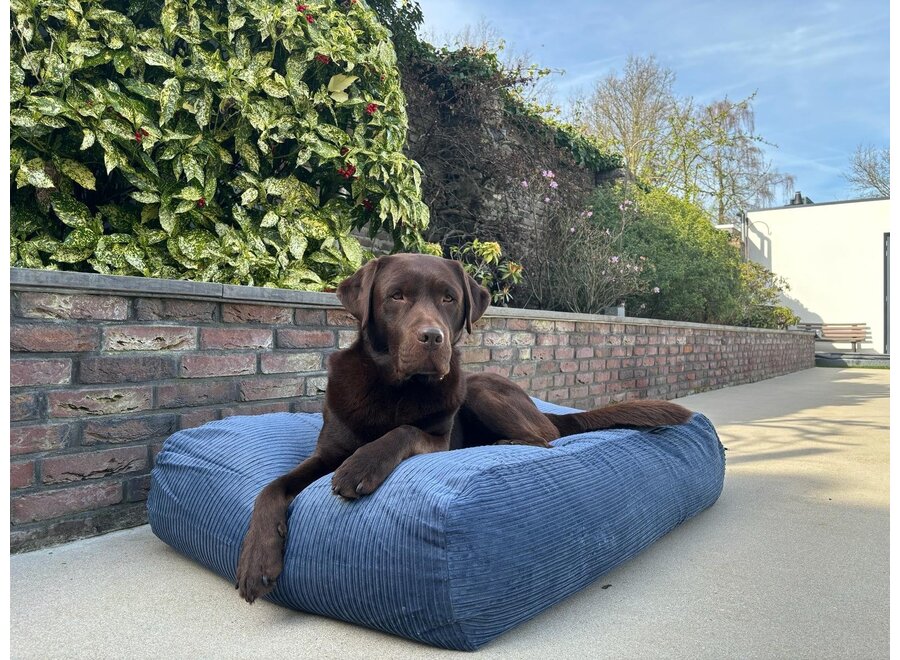 Lit pour chien rafblue double velours côtelé medium
