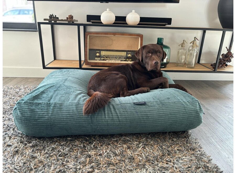 Lit pour chien vieux vert double velours côtelé medium