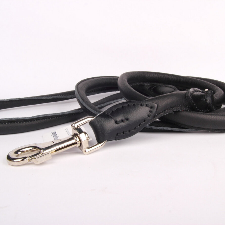 Laisse en cuir pour chien