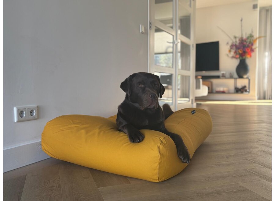 Lit pour chien ocre jaune