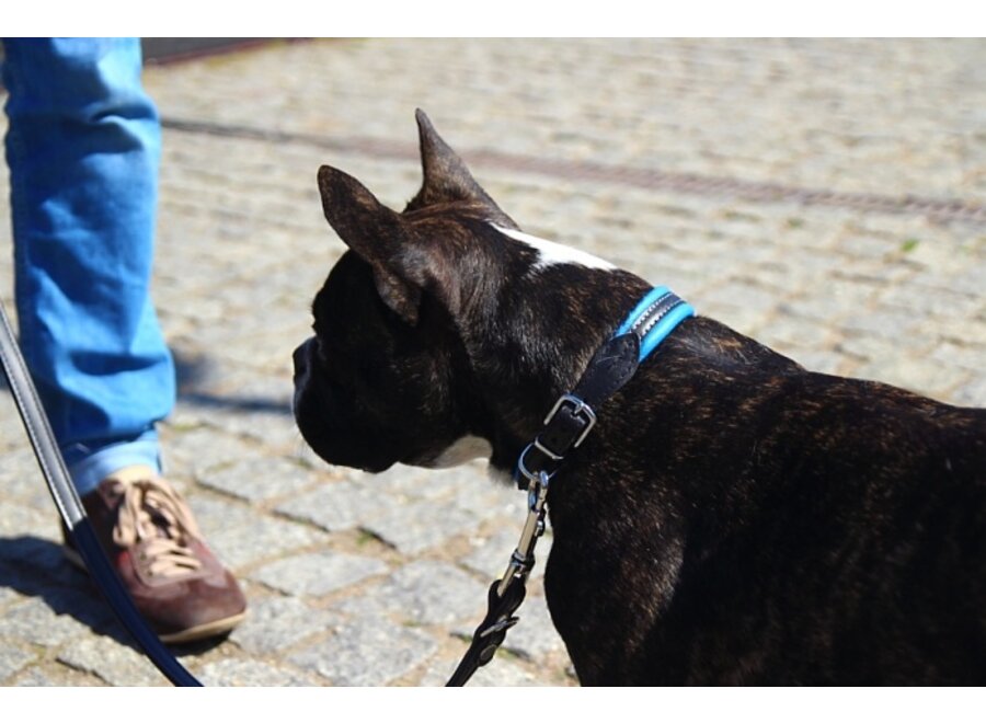 Handmade collier de chien en cuir soft / duo