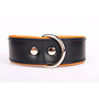 Collier de chien en cuir