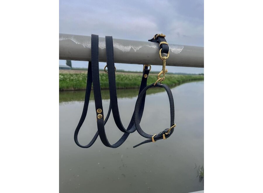 Réglable en cuir laisse de chien en or exclusif