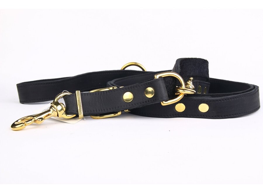 Réglable en cuir laisse de chien en or exclusif