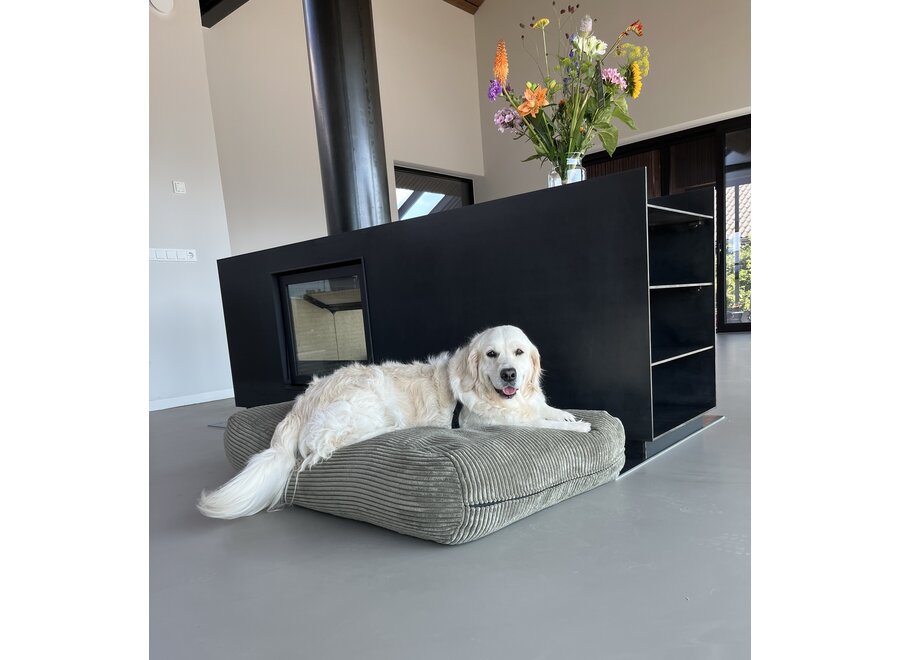 Lit pour chien olive giant velours côtelé medium