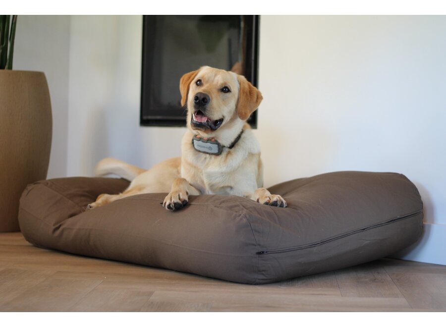 Lit pour chien taupe/marron superlarge