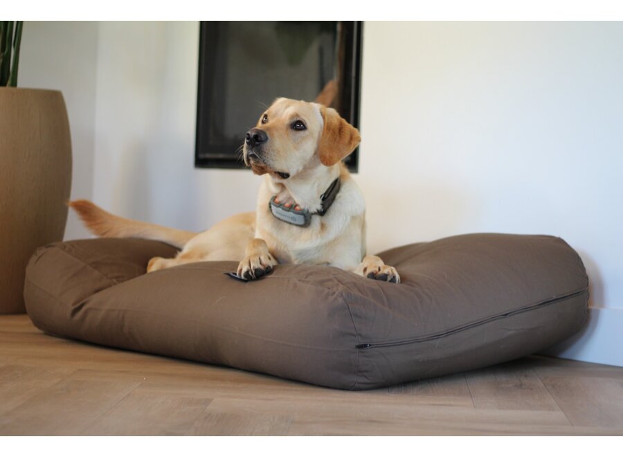 Lit pour chien taupe/marron superlarge