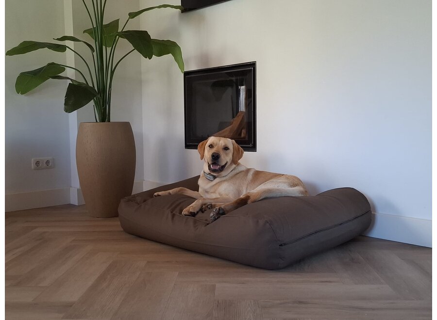 Lit pour chien taupe/marron superlarge