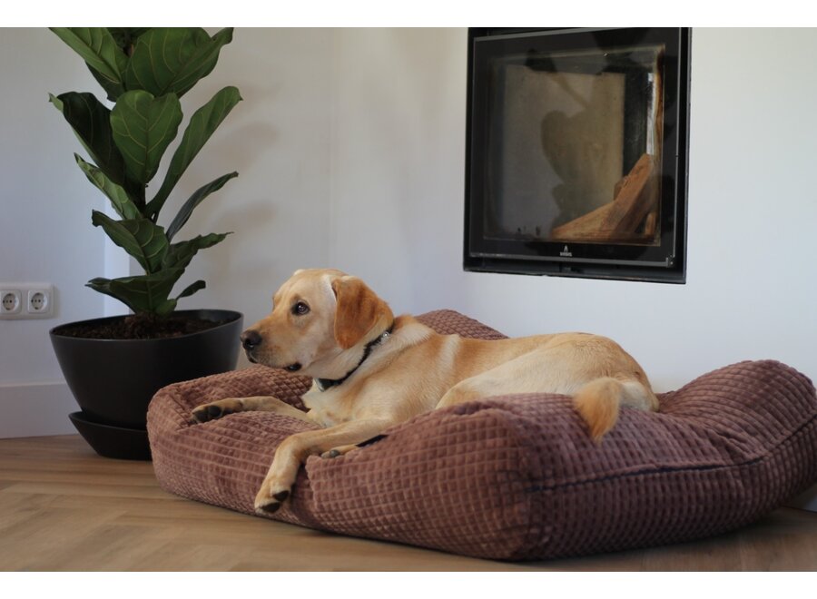 Lit pour chien little square soft brown small