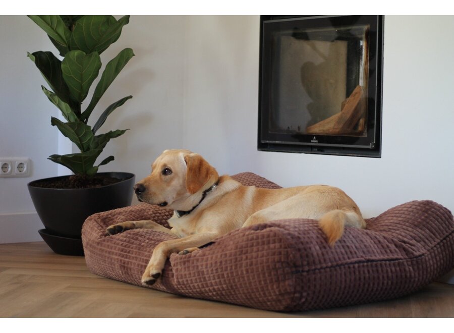 Lit pour chien little square soft brown large