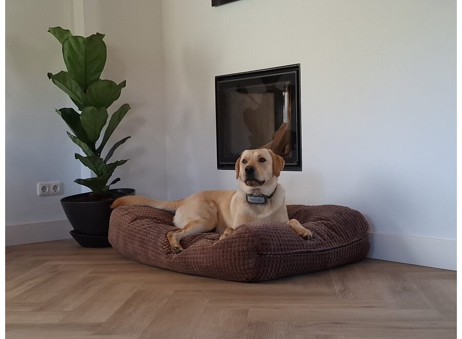 Lit pour chien little square soft brown large