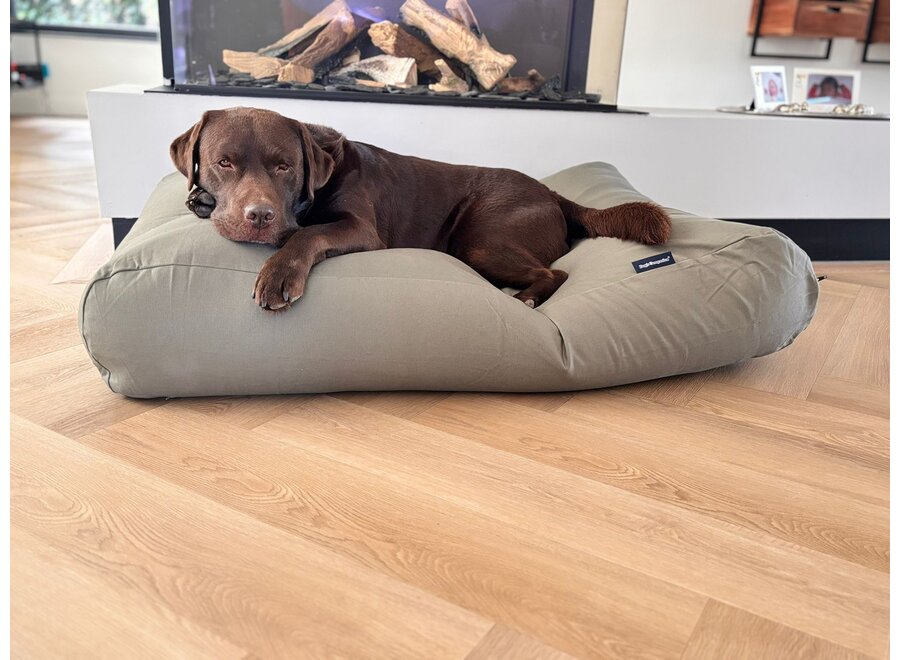 Lit pour chien basalte small