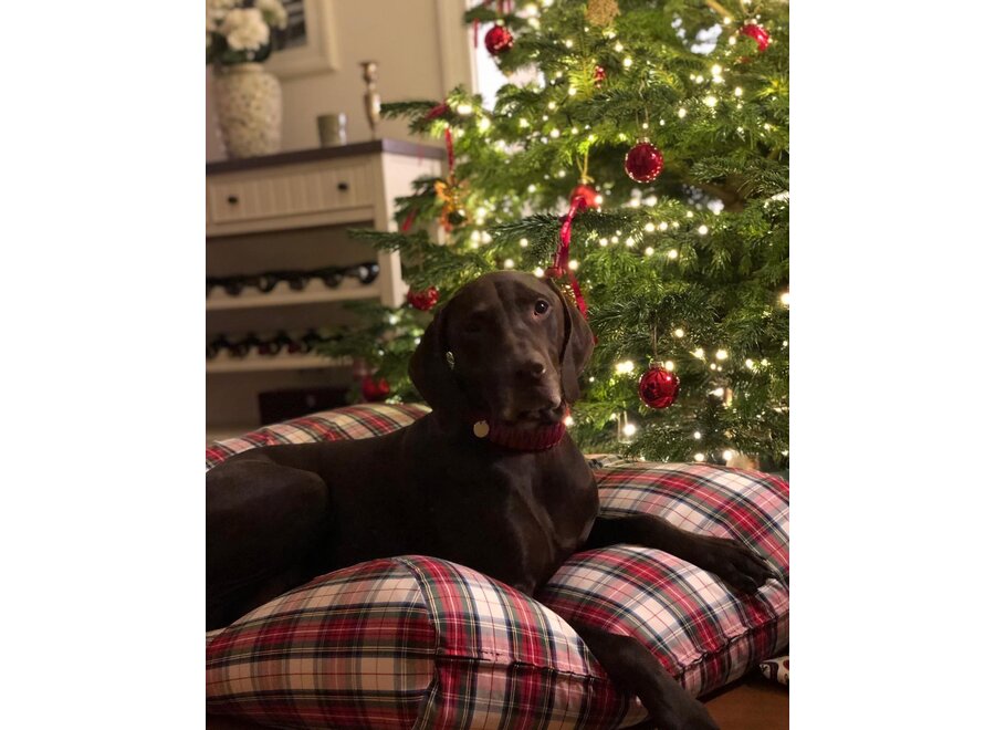 Lit pour chien dress stewart large