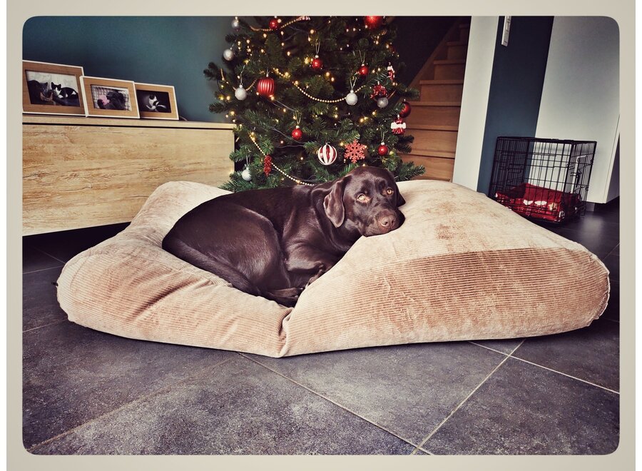 Lit pour chien chameau giant velours côtelé superlarge
