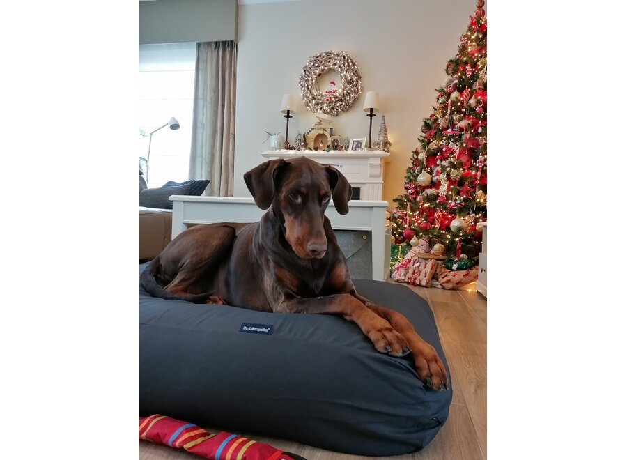 Lit pour chien anthracite