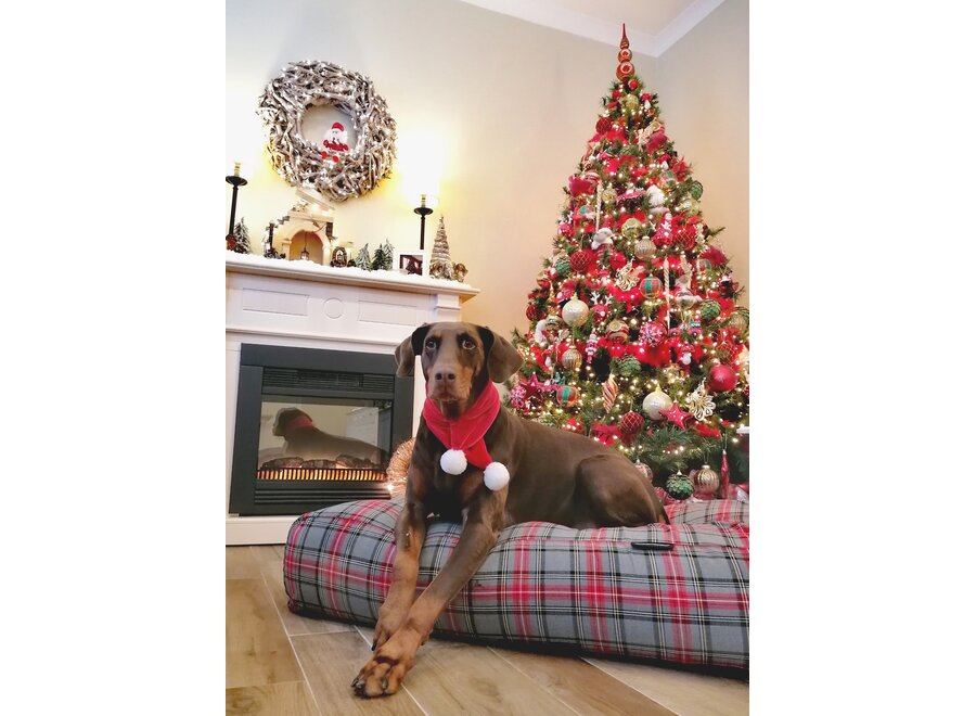 Lit pour chien Scottish grey