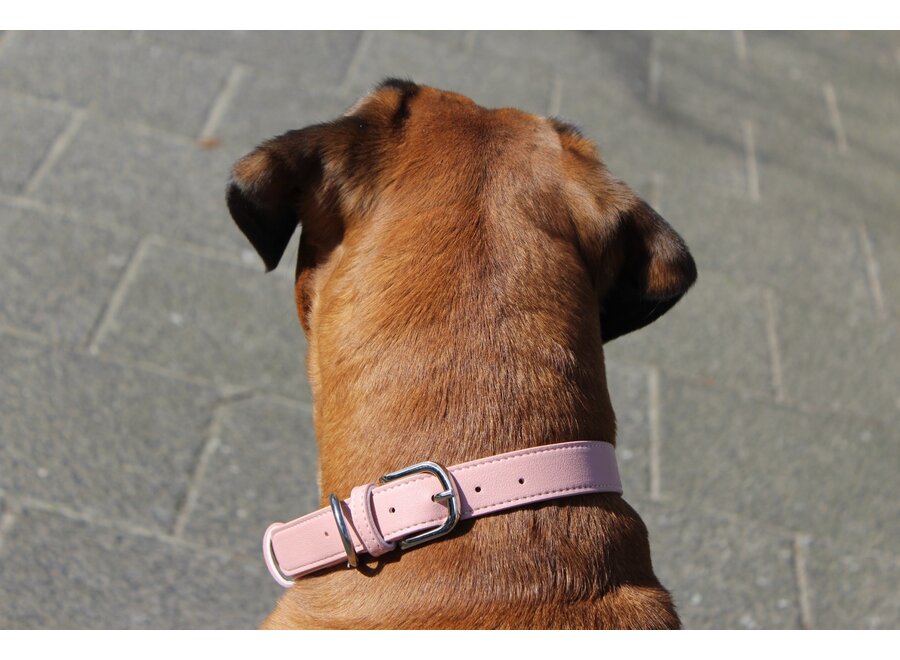 Collier pour chien en cuir PU réglable | élégant, durable et confortable