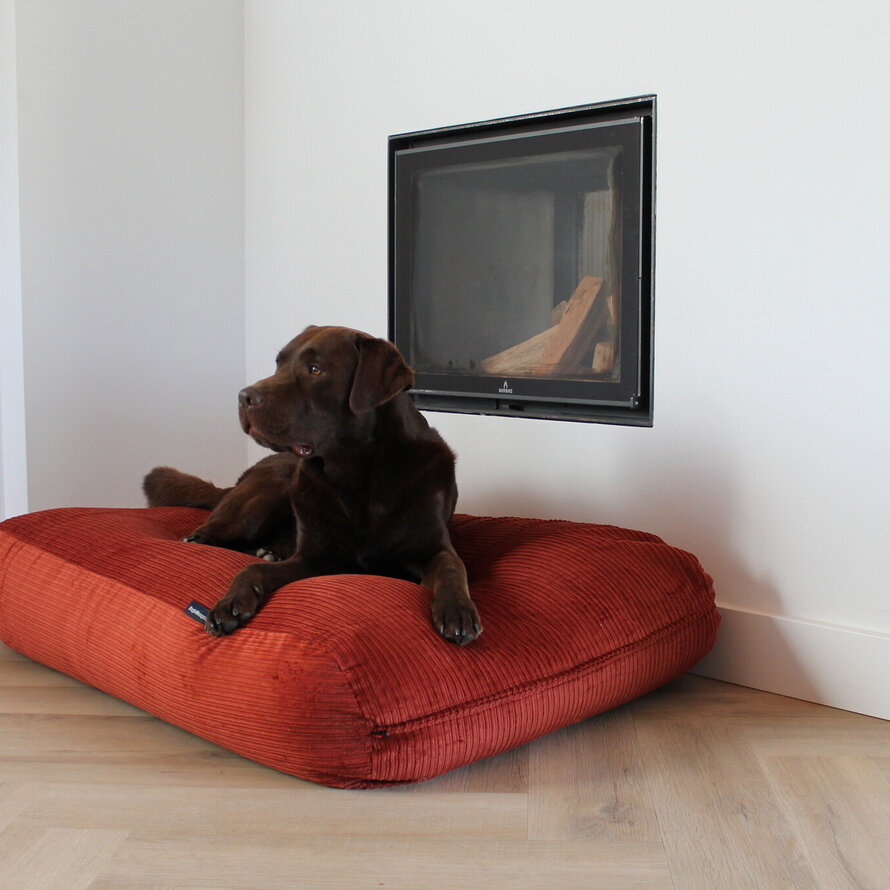 Lit pour chien double velours côtelé