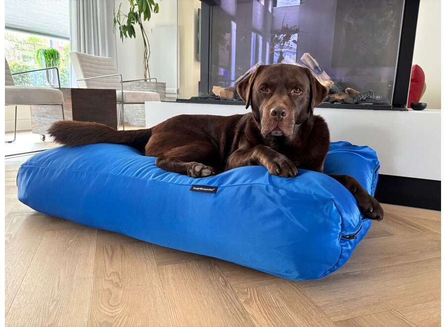 Lit pour chien bleu de cobalt coating small