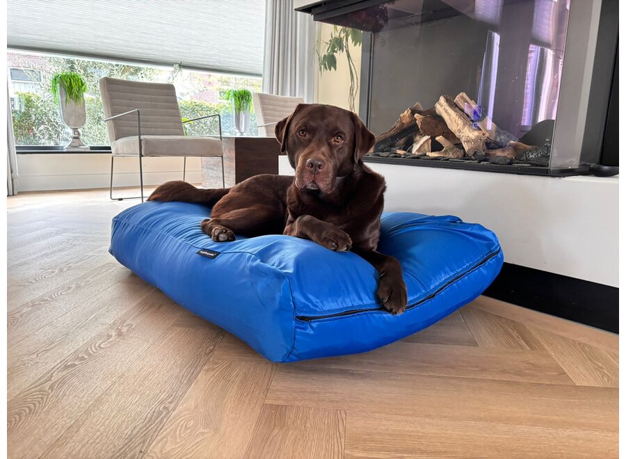 Lit pour chien bleu de cobalt coating large
