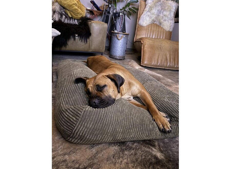 Lit pour chien olive giant velours côtelé small