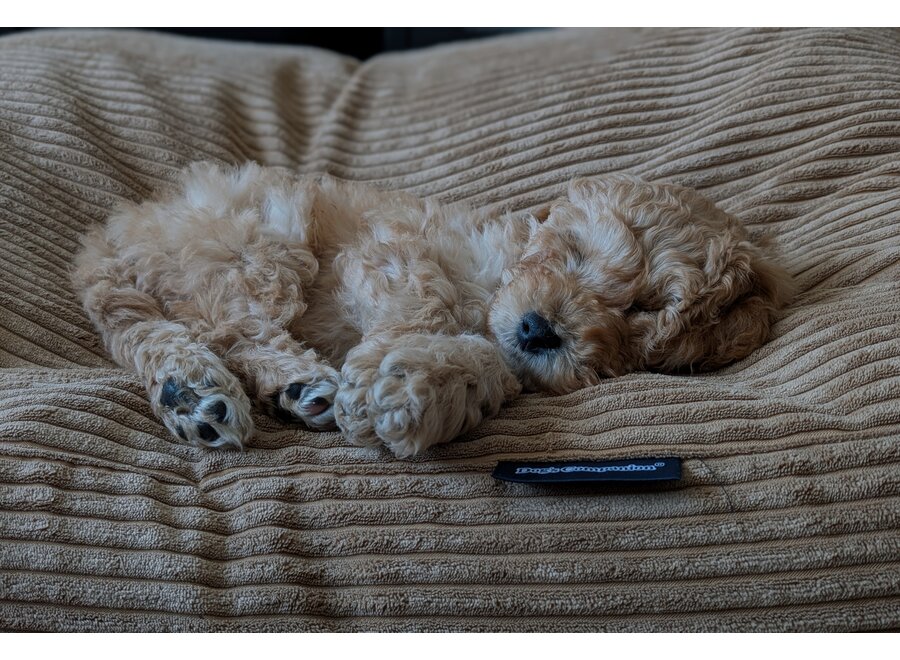 Lit pour chien chameau giant velours côtelé small