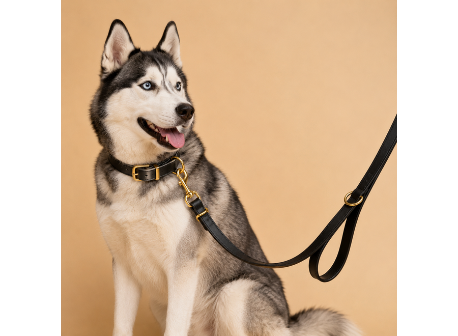 Collier en cuir réglable en or exclusif