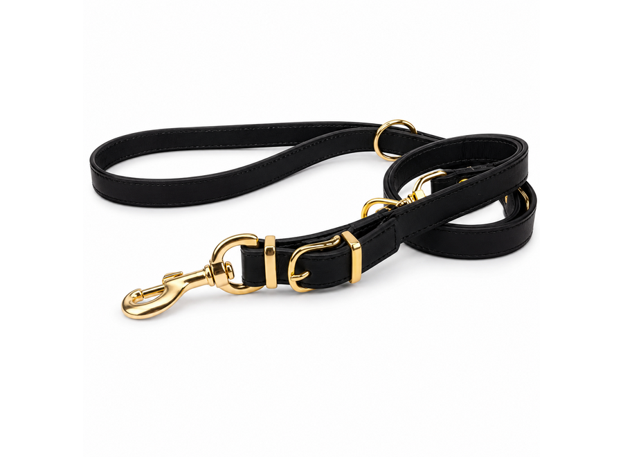 Réglable en cuir laisse de chien en or exclusif