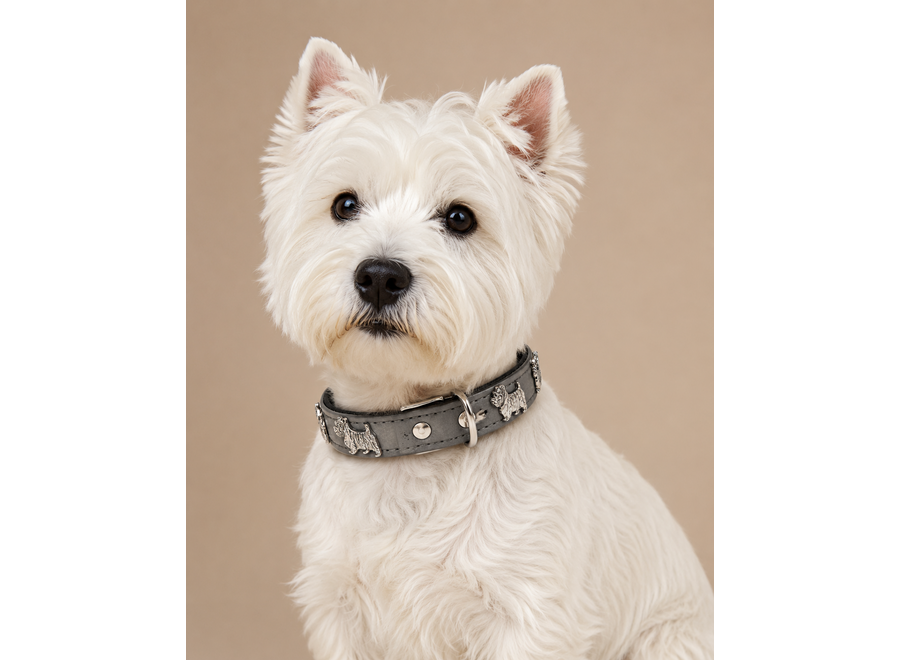 Laisse de chien en cuir West Highland Terrier