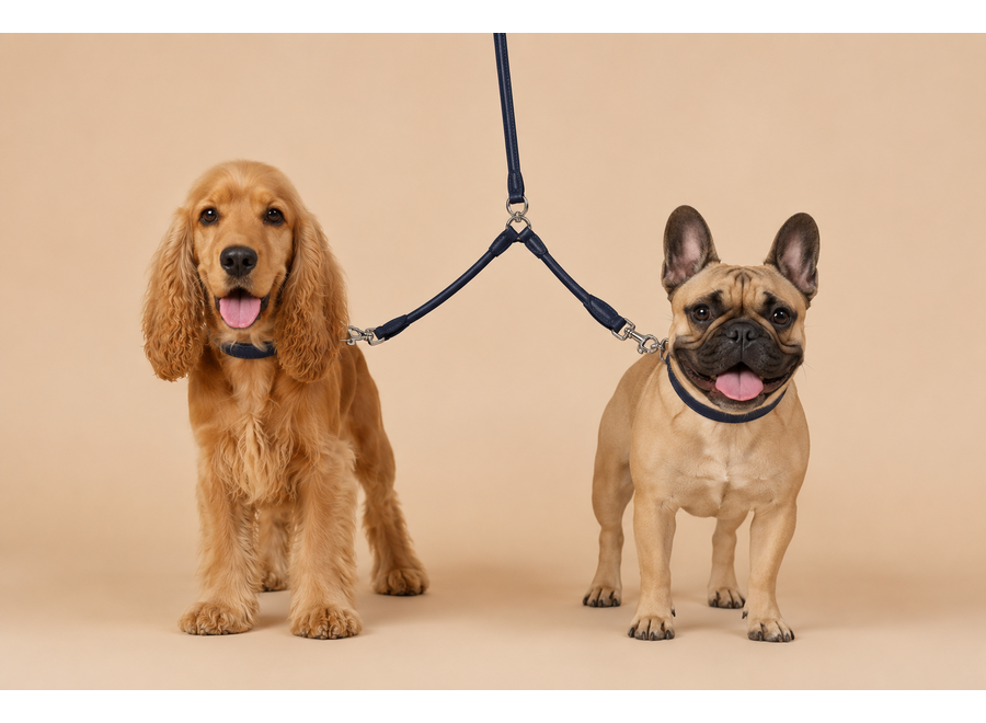 Laisse double en cuir pour deux chiens