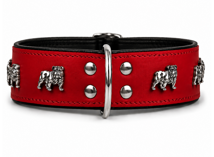 Collier en cuir pour Bulldog anglais