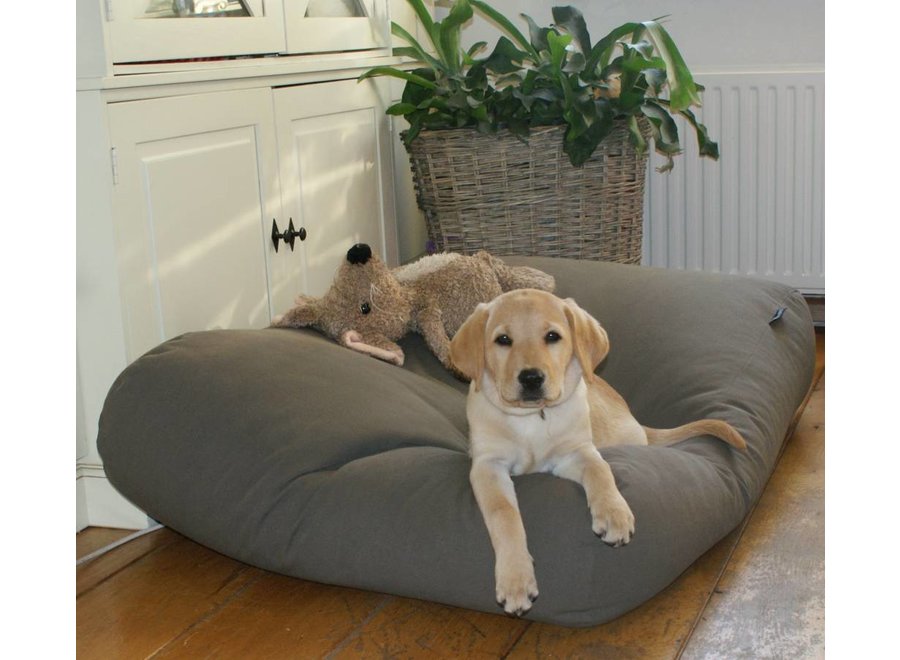 Lits pour chien déhoussables le meilleur choix pour votre chien et votre intérieur en ligne