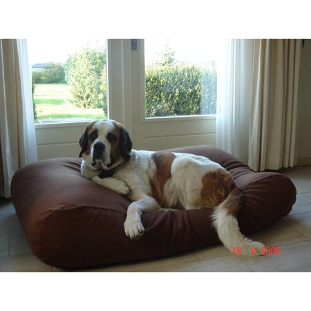 Dog's Companion® Lit pour grand chien Chocolat Superlarge