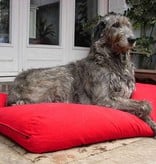 Dog's Companion® Lit pour chien Rouge Large