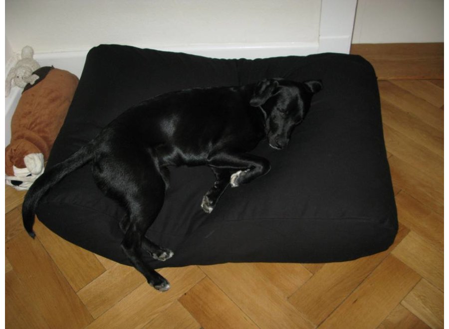 Lit pour chien noir superlarge