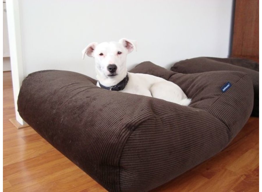 Coussin pour chien chocolat velours côtelé large