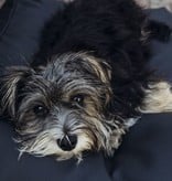 Dog's Companion® Lit pour chien Noir leather look Superlarge