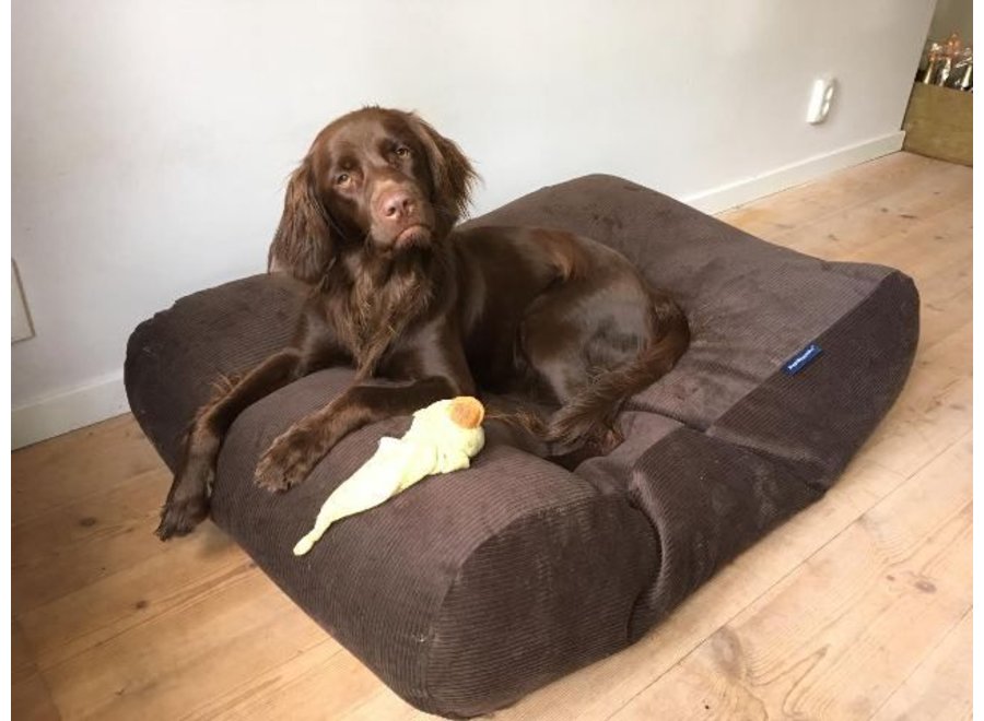 Coussin pour chien chocolat velours côtelé large